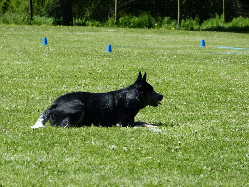 Obi-Pruefung 05/2018