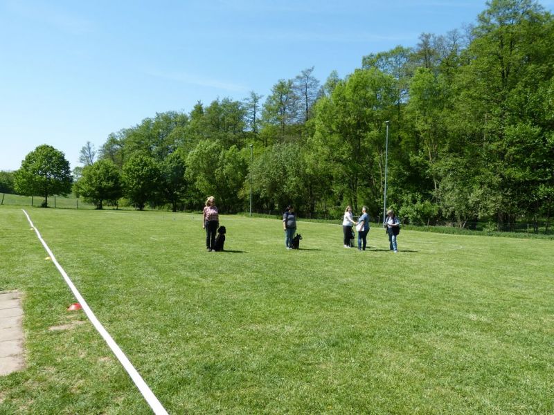 Obi-Pruefung 05/2018