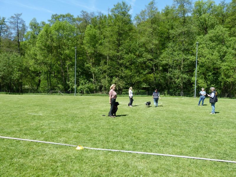 Obi-Pruefung 05/2018