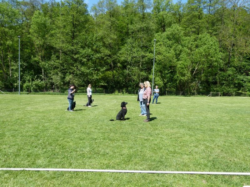 Obi-Pruefung 05/2018