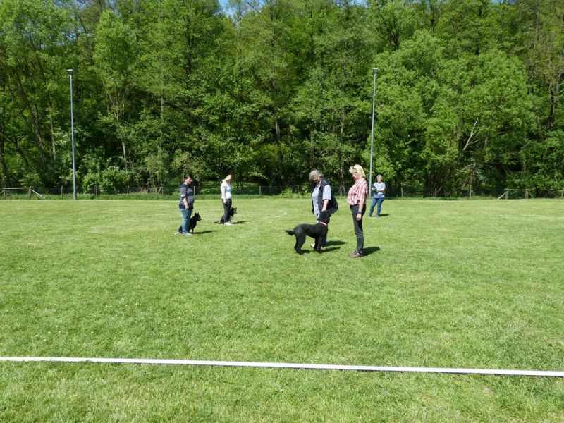 Obi-Pruefung 05/2018