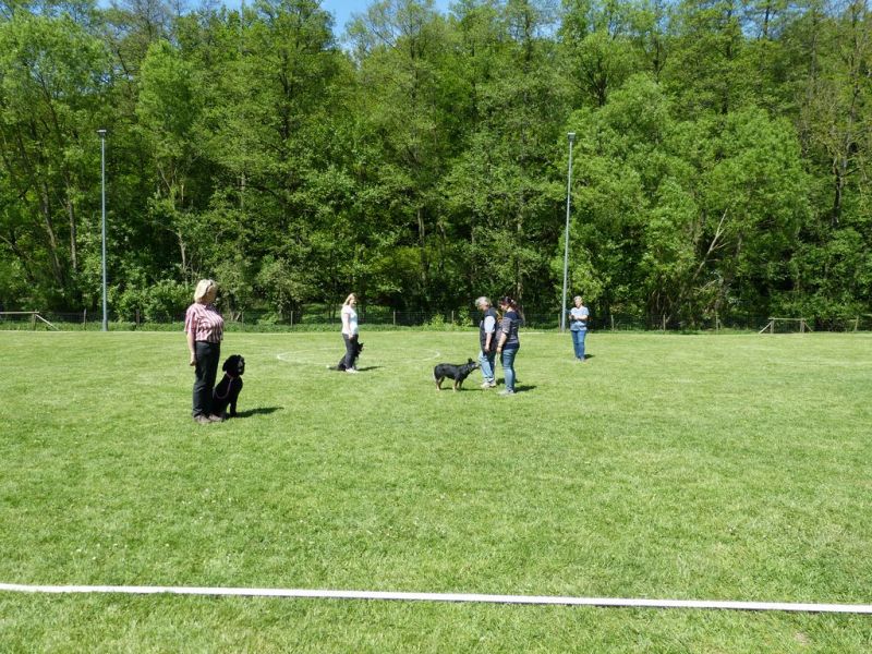 Obi-Pruefung 05/2018
