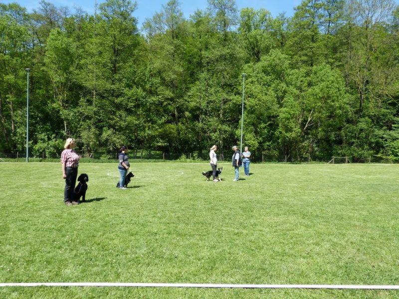 Obi-Pruefung 05/2018