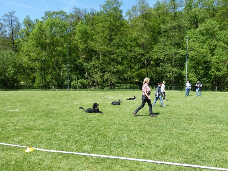 Obi-Pruefung 05/2018