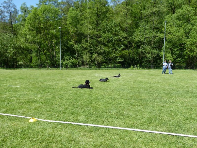Obi-Pruefung 05/2018