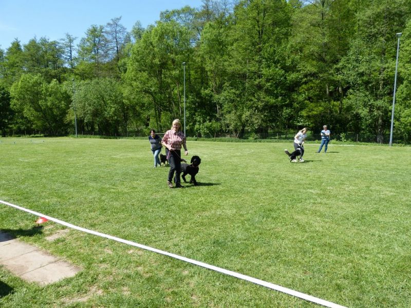 Obi-Pruefung 05/2018