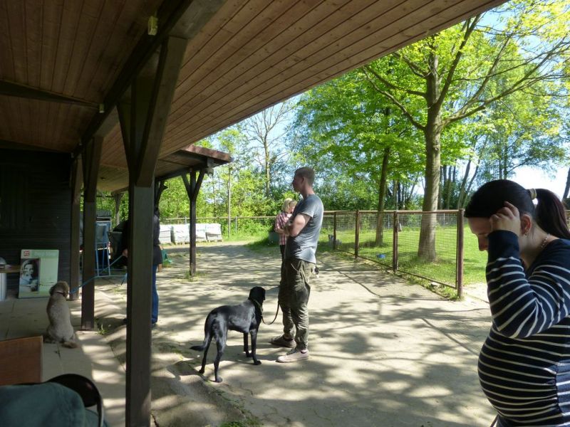 Obi-Pruefung 05/2018