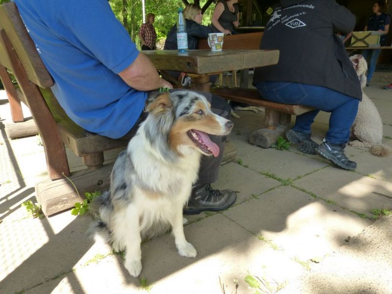 Obi-Pruefung 05/2018
