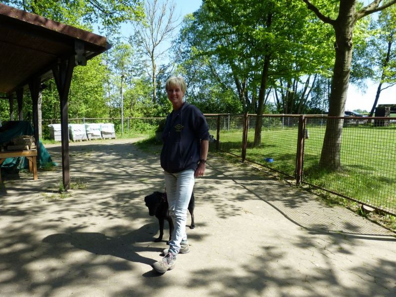 Obi-Pruefung 05/2018