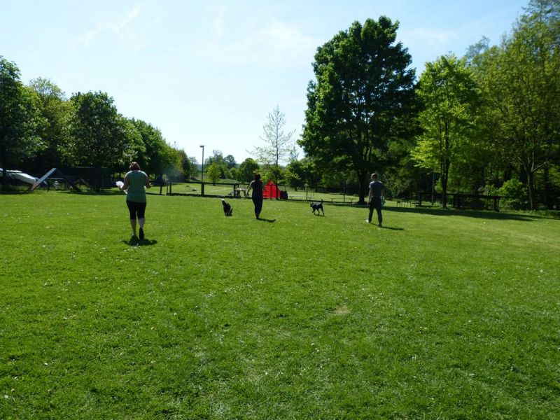 Obi-Pruefung 05/2018