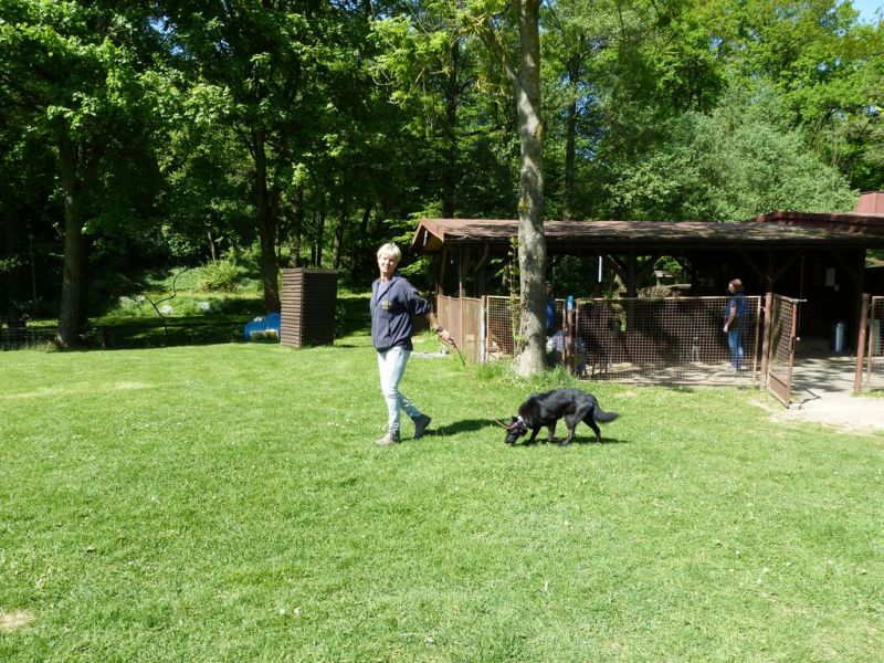 Obi-Pruefung 05/2018