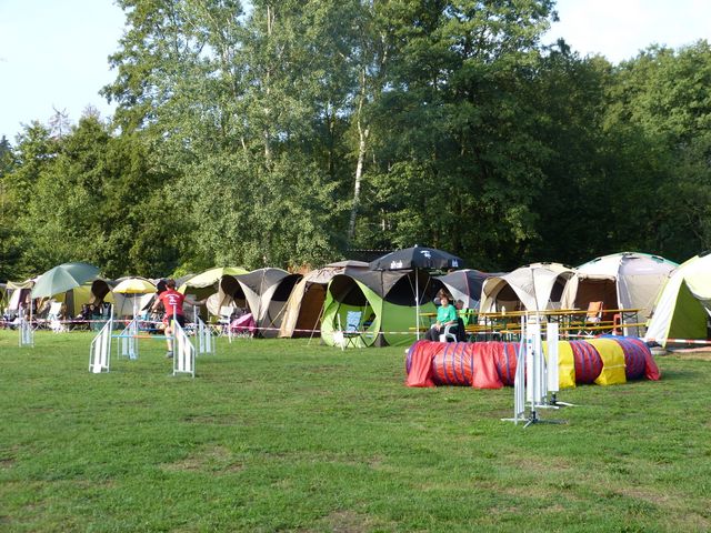 Agility-DM 2018