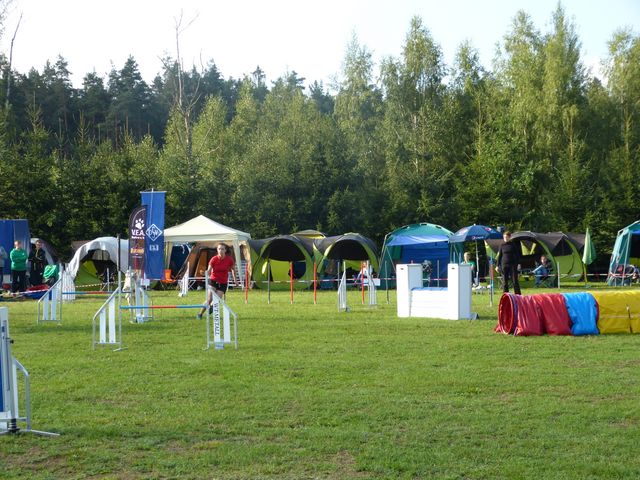 Agility-DM 2018
