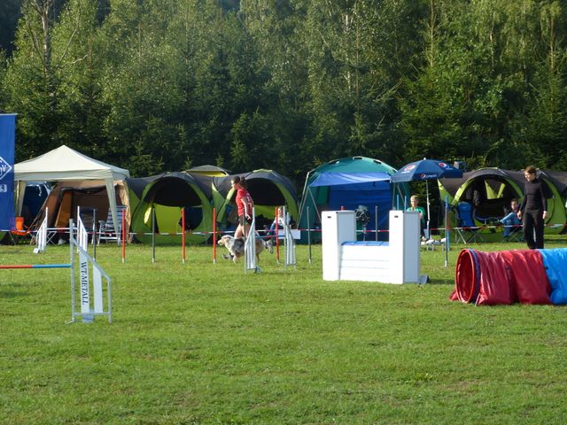 Agility-DM 2018