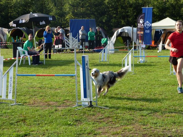 Agility-DM 2018