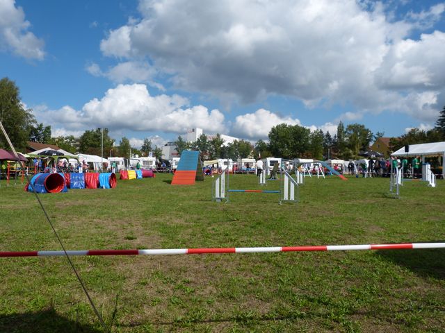 Agility-DM 2018