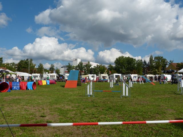 Agility-DM 2018