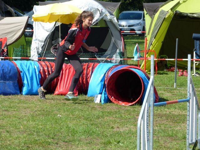 Agility-DM 2018