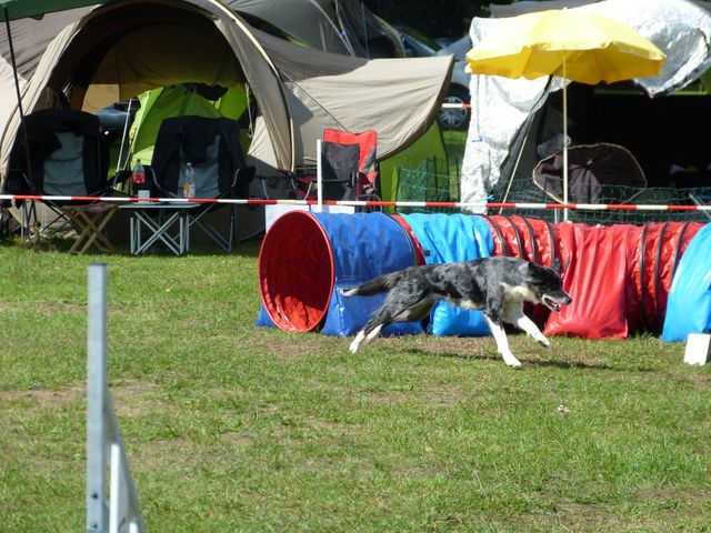 Agility-DM 2018