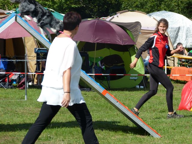 Agility-DM 2018