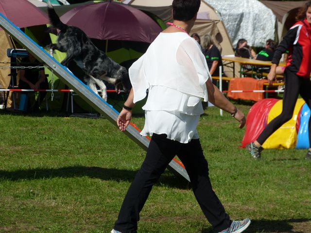 Agility-DM 2018