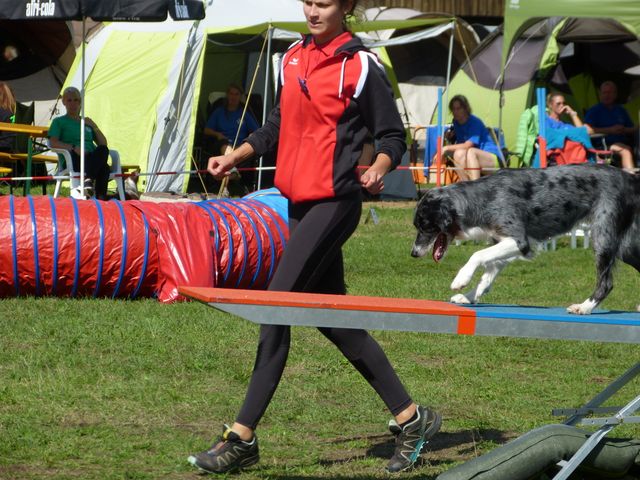 Agility-DM 2018