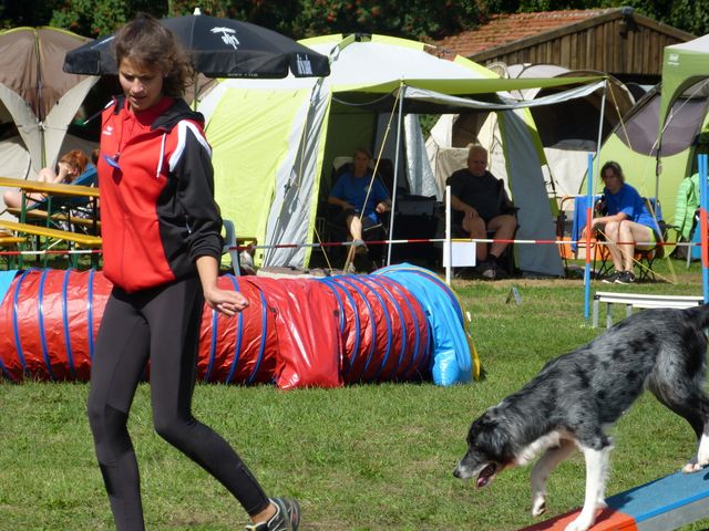 Agility-DM 2018