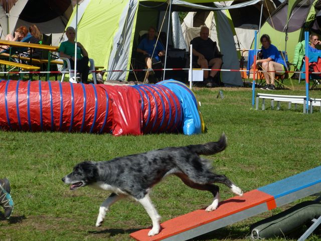 Agility-DM 2018