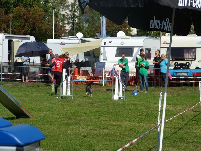 Agility-DM 2018