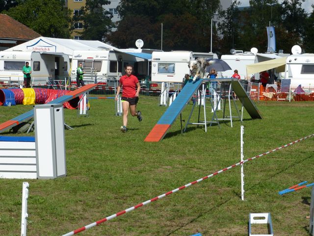 Agility-DM 2018
