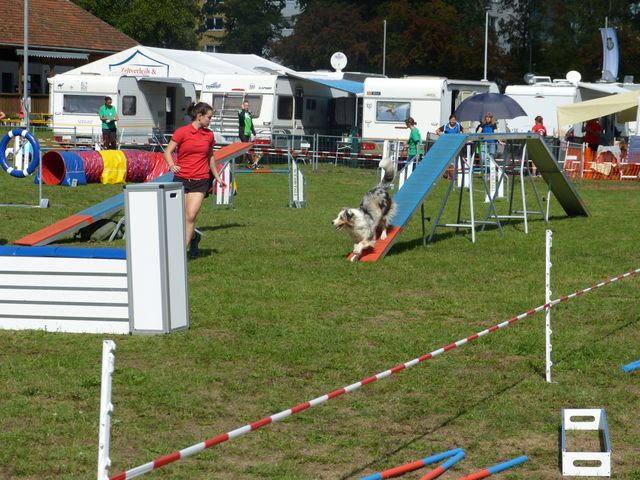Agility-DM 2018