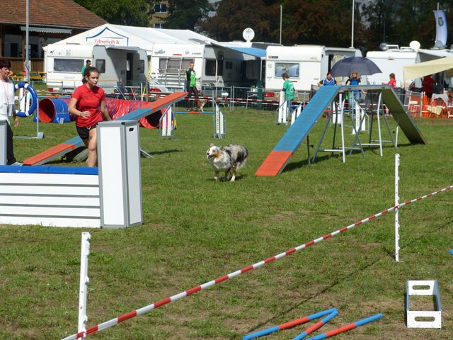 Agility-DM 2018