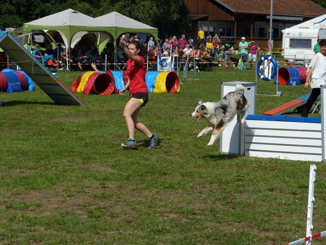 Agility-DM 2018