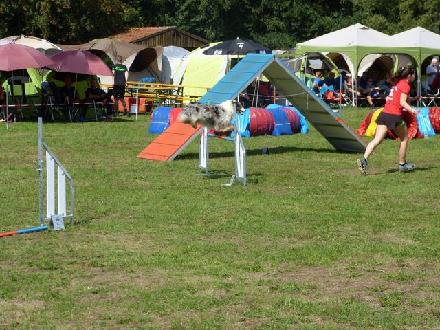 Agility-DM 2018