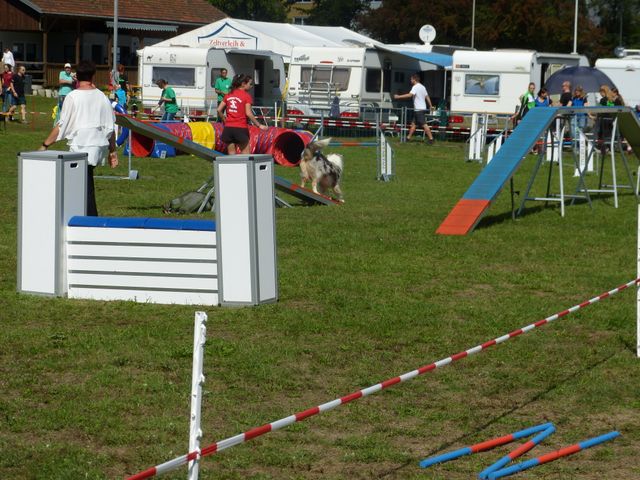 Agility-DM 2018