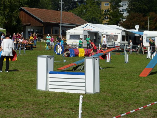 Agility-DM 2018