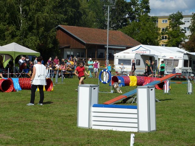 Agility-DM 2018