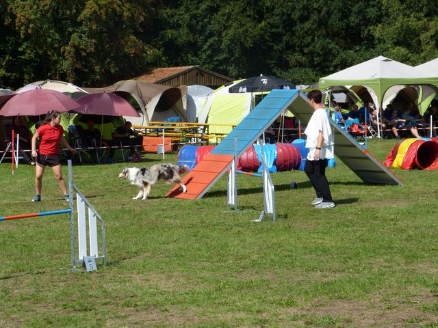 Agility-DM 2018