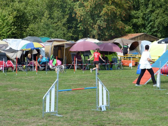 Agility-DM 2018