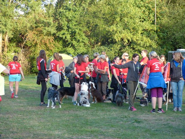 Agility-DM 2018