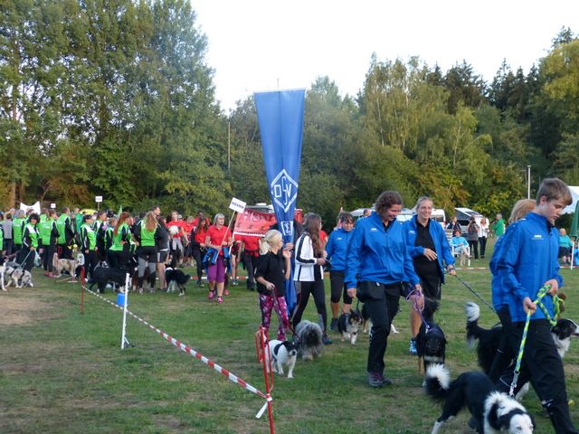 Agility-DM 2018