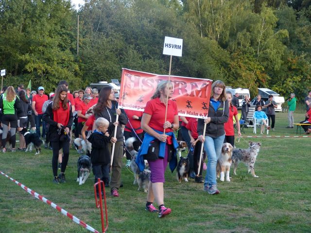 Agility-DM 2018