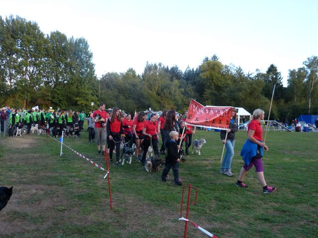Agility-DM 2018