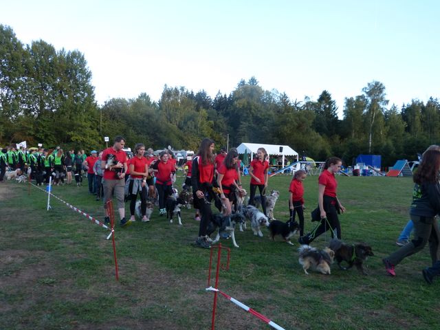 Agility-DM 2018