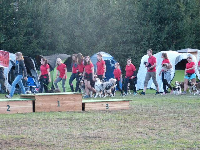 Agility-DM 2018