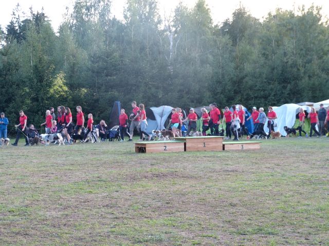 Agility-DM 2018