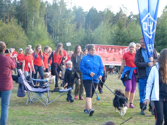 Agility-DM 2018