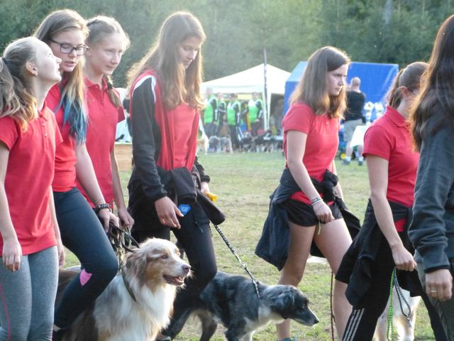 Agility-DM 2018