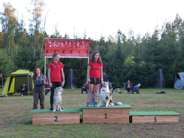 Agility-DM 2018