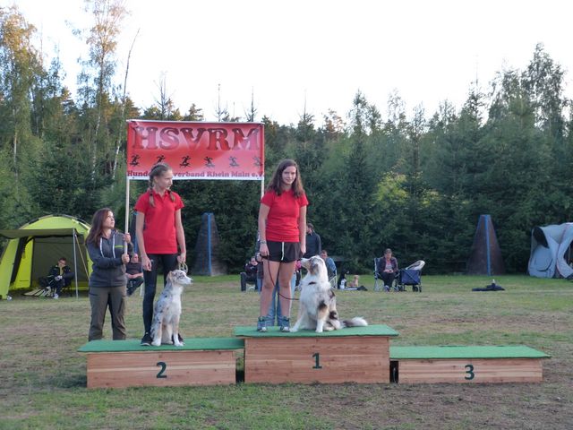 Agility-DM 2018